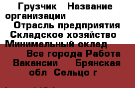 Грузчик › Название организации ­ Fusion Service › Отрасль предприятия ­ Складское хозяйство › Минимальный оклад ­ 17 600 - Все города Работа » Вакансии   . Брянская обл.,Сельцо г.